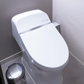 トイレ分解洗浄